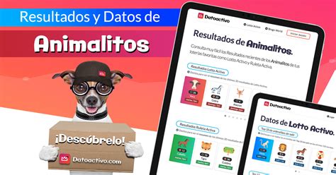 Datos de Animalitos: Loterías de Animalitos Venezuela.